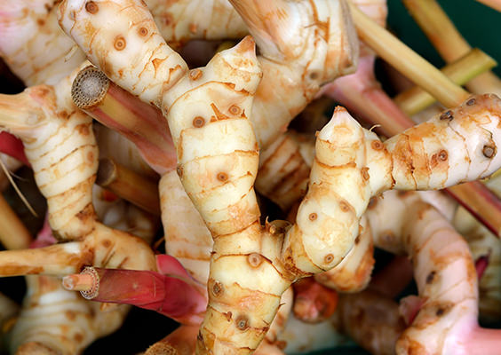 galangal.jpg