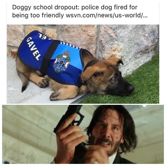 01509D69-E2BE-4219-929A-F1A85861E00D.jpeg