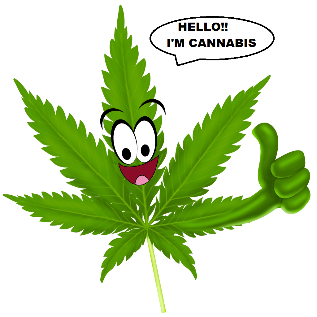 cannabisseal.png