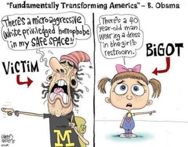 transgender-cartoon.jpg