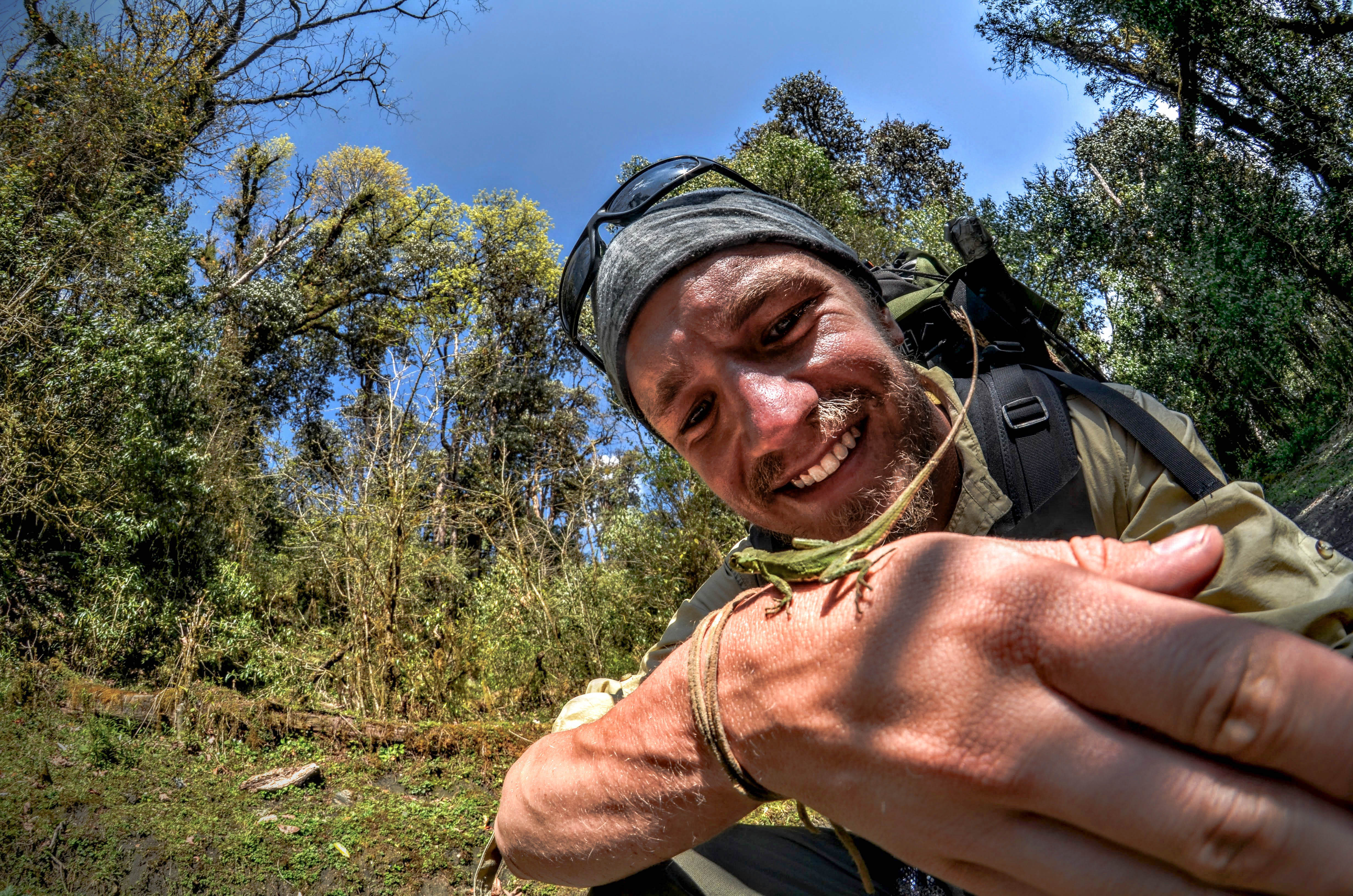 olilizard (1 of 1).jpg