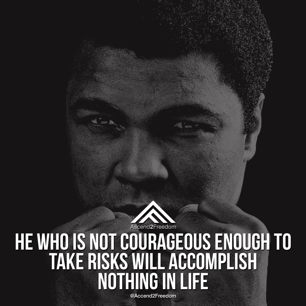 A2F_Quote_E022.png
