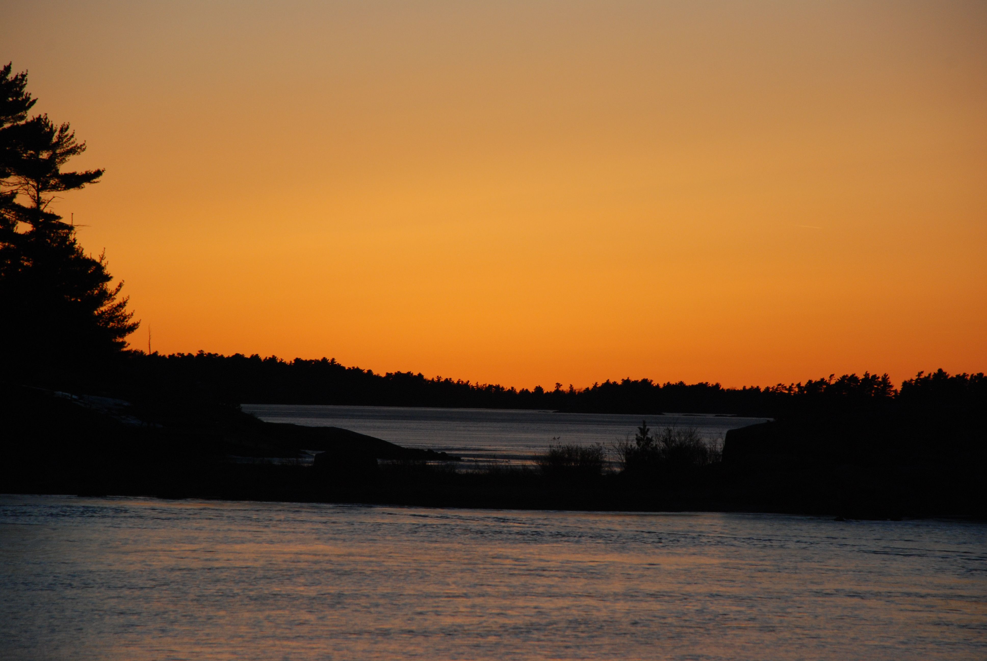 DSC_0479.JPG