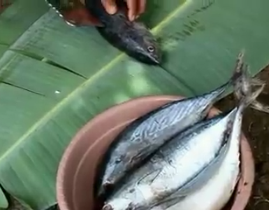 Cara Membuat Ikan Bakar Steemit