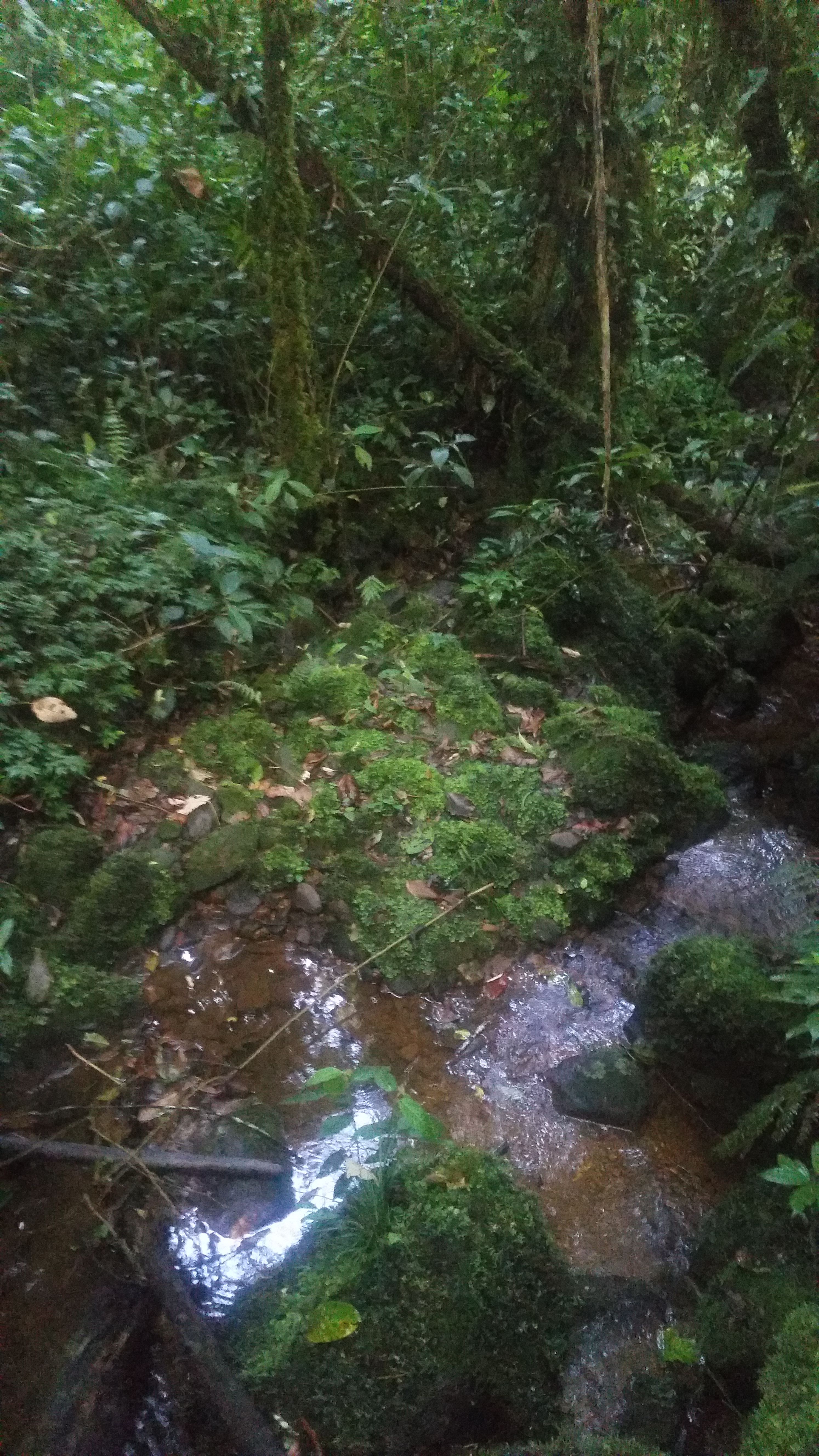 20170921_161552.jpg