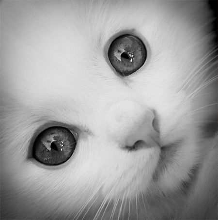 A2CEA08D-406F-43F0-B6E7-736D958BA4C5.jpeg