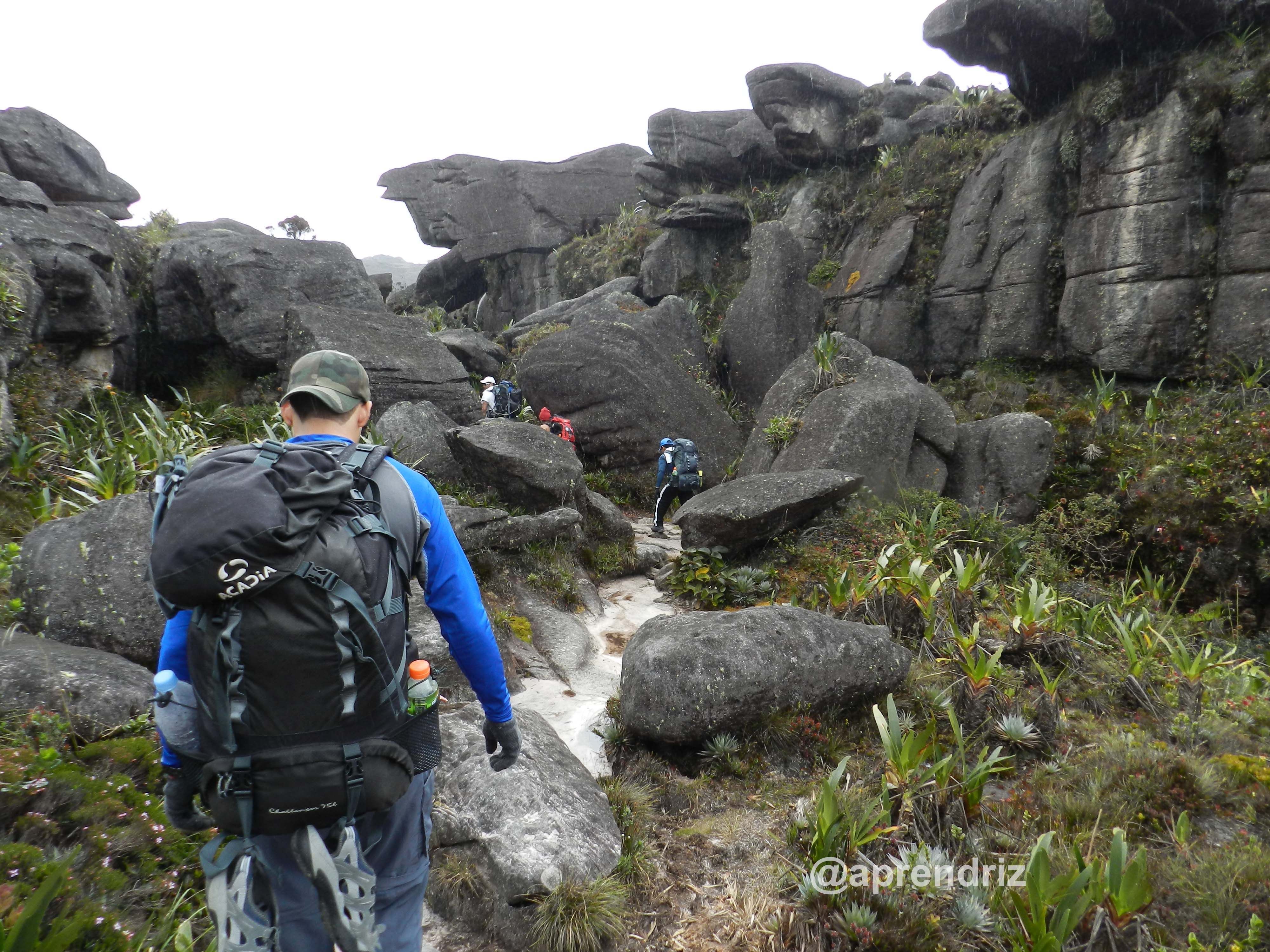 Entrando a la planicie del Roraima copia.jpg