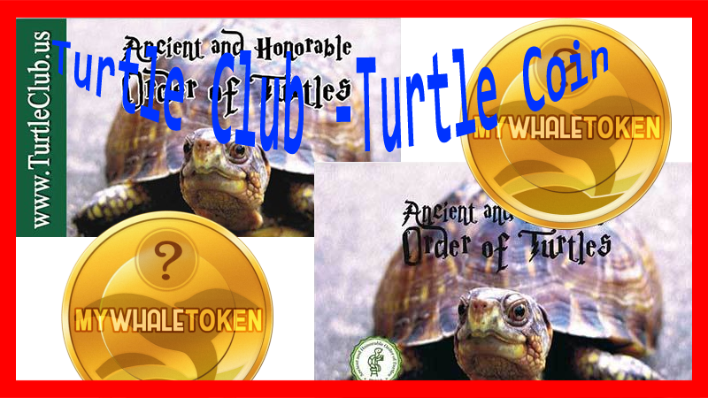 TurtleCoin-steemit.png