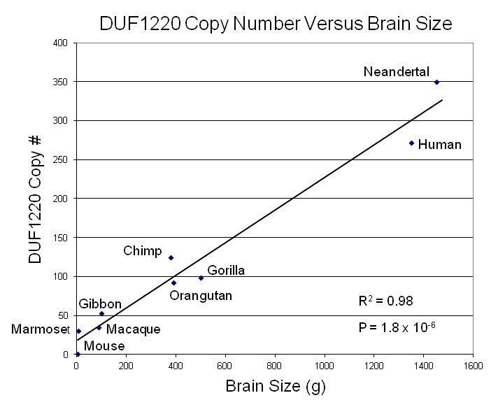 duf1220.JPG