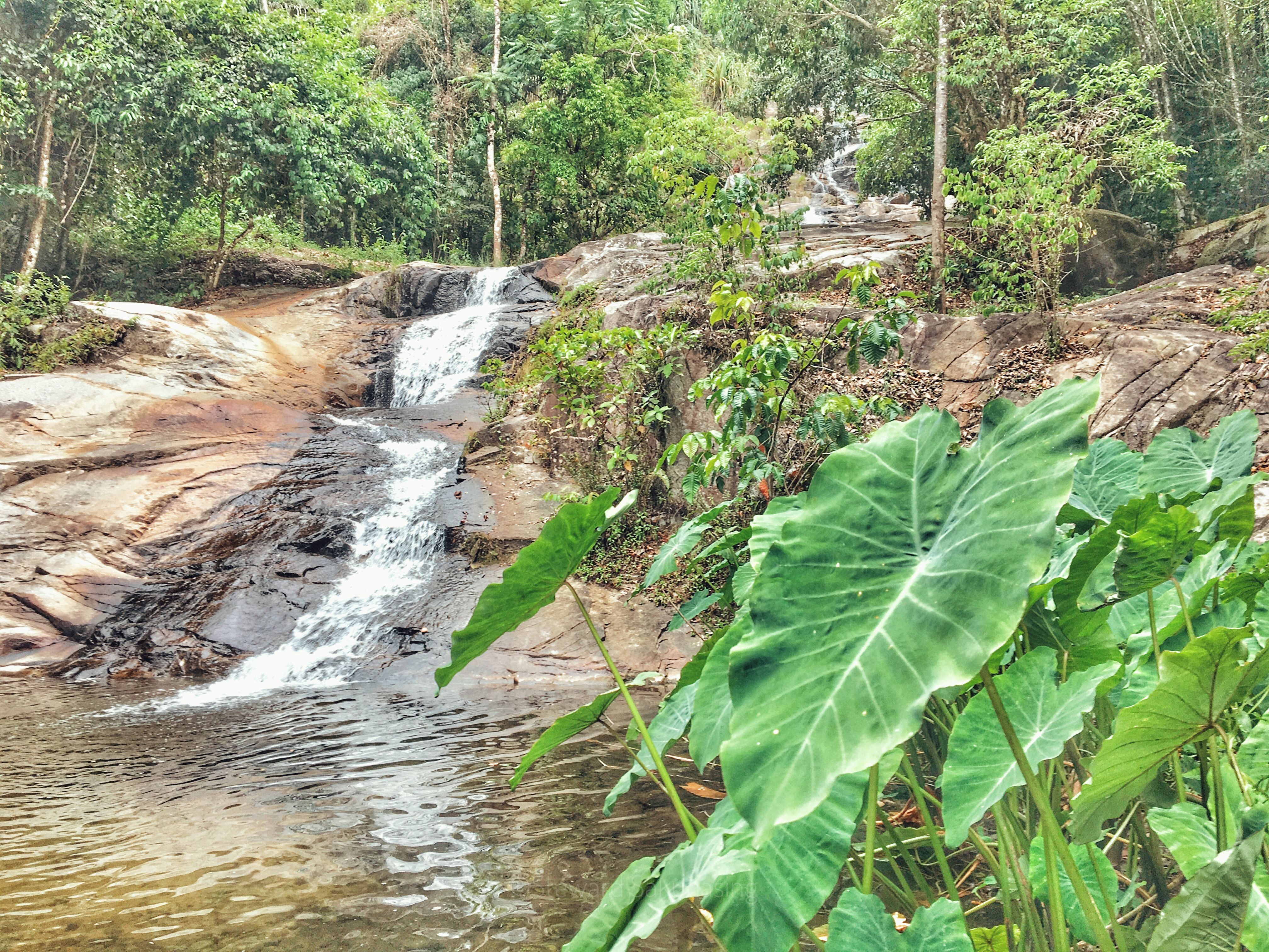 Attachment-1 (83).jpeg