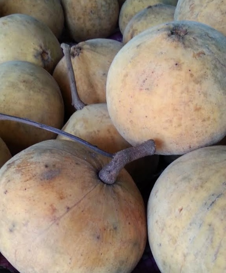 santol.jpg