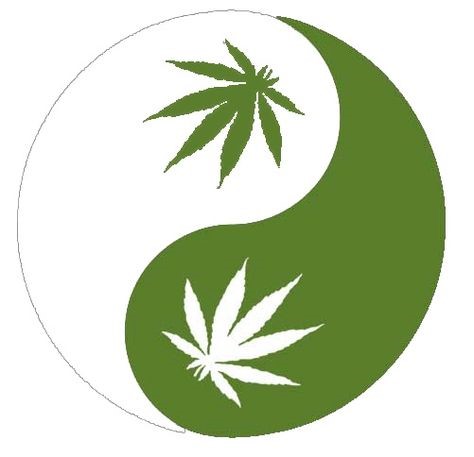cannabis-yin-yang.jpg