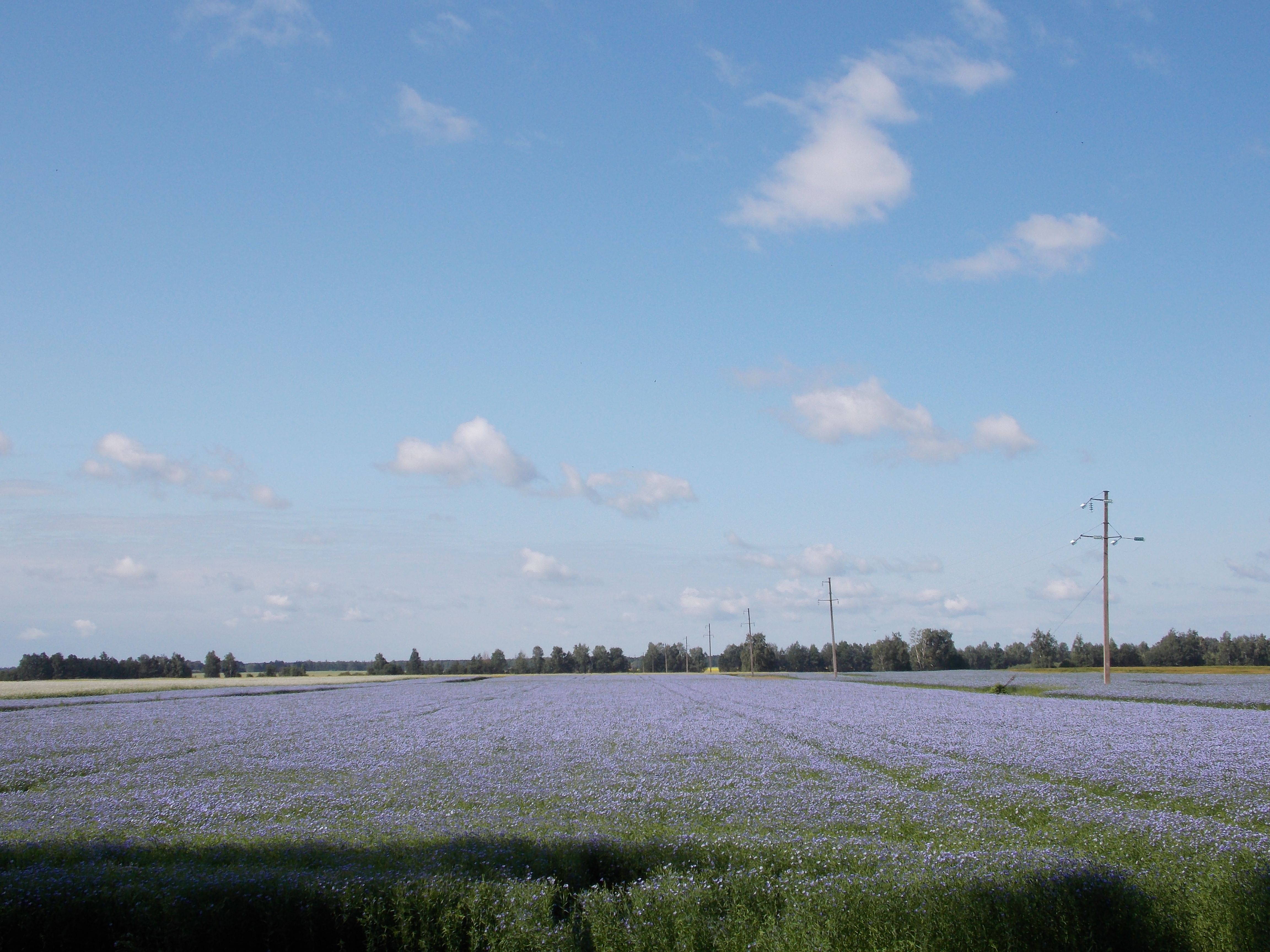DSCN6561.JPG