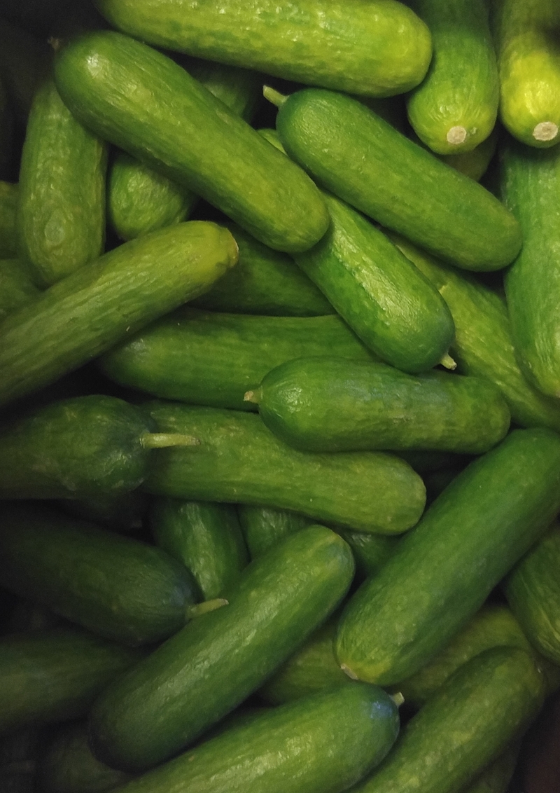 cucumbers green.jpg