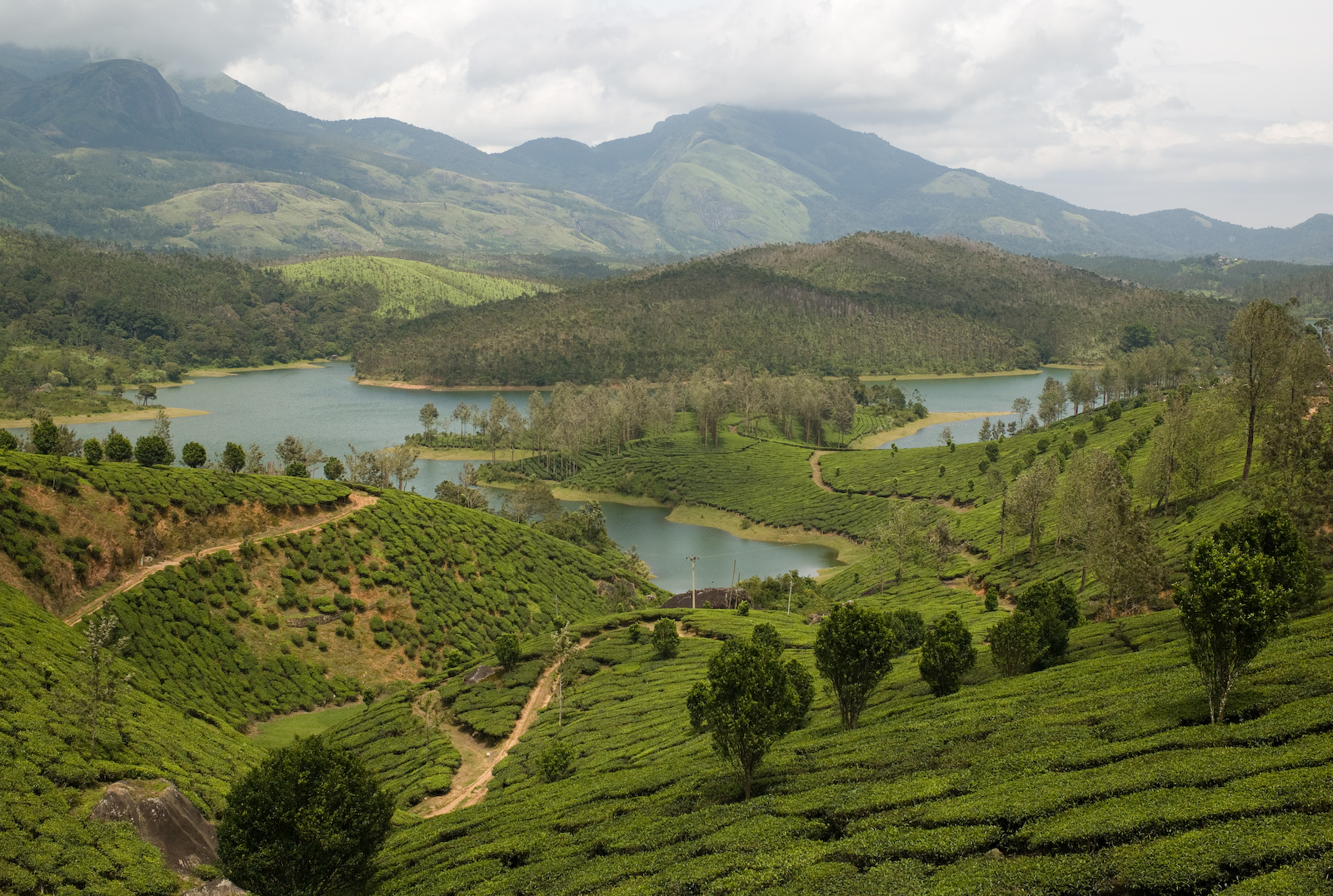 Yelagiri.jpg