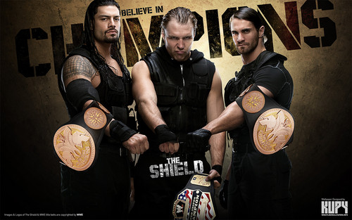 The-Shield-Champions-the-shield-wwe-34659039-500-313.jpg