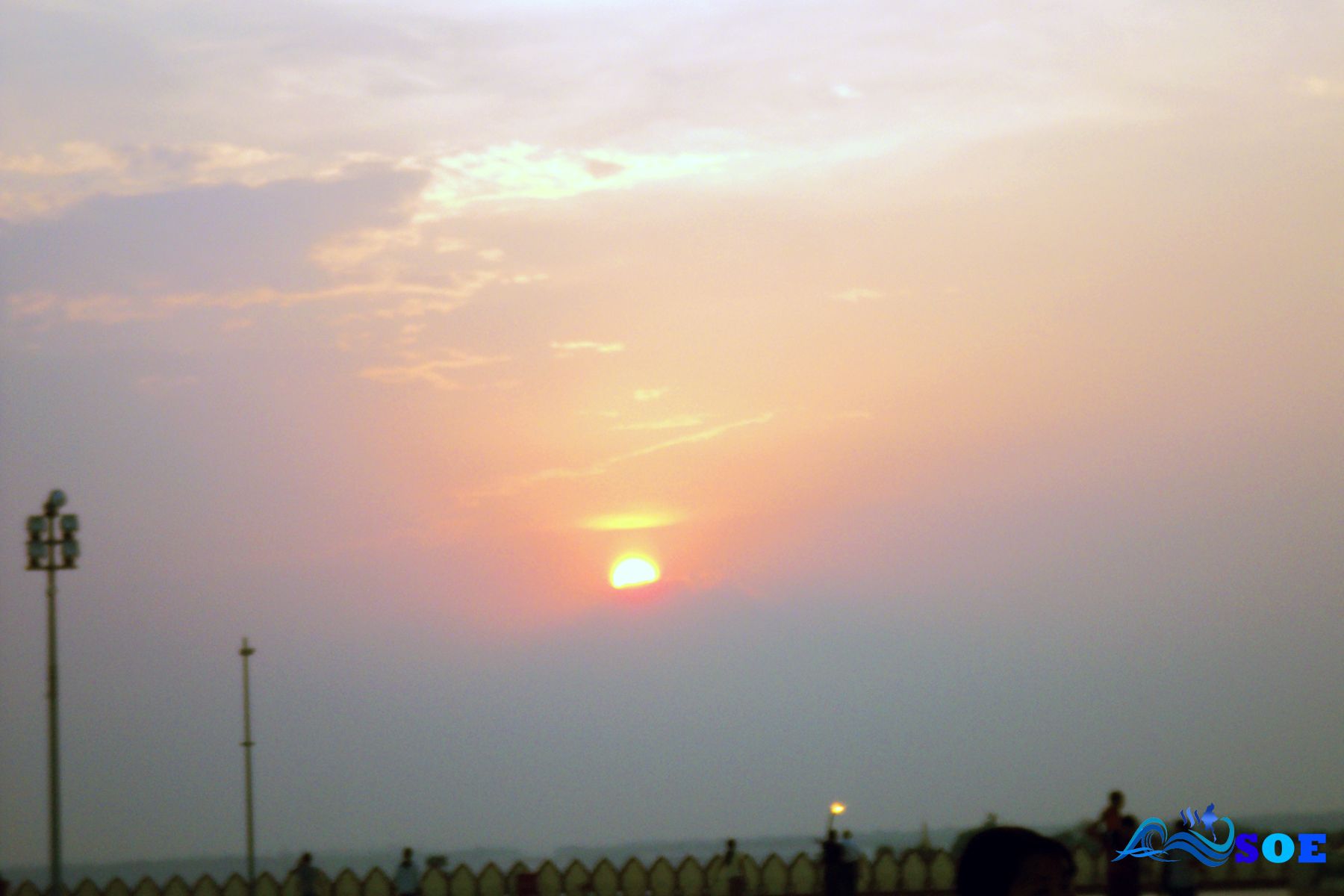 DSC01959.jpg