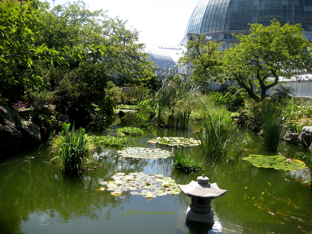 A View at the Conservatory.JPG