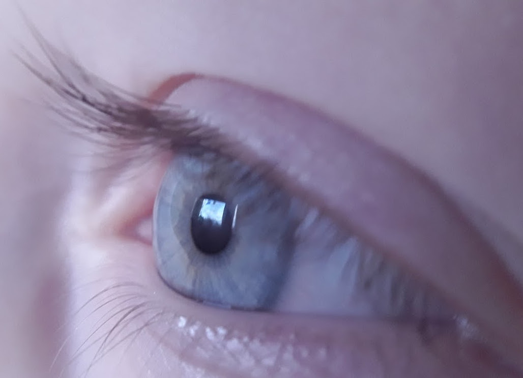 One photo every day: Miro's eye (116/365)