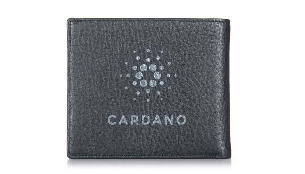 cardano-physical-wallet-1050x600.jpg