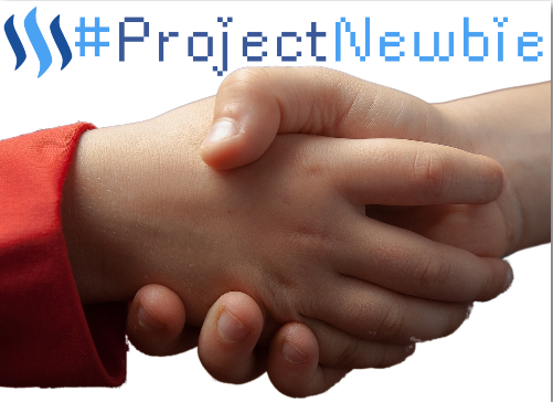 projectnewbie