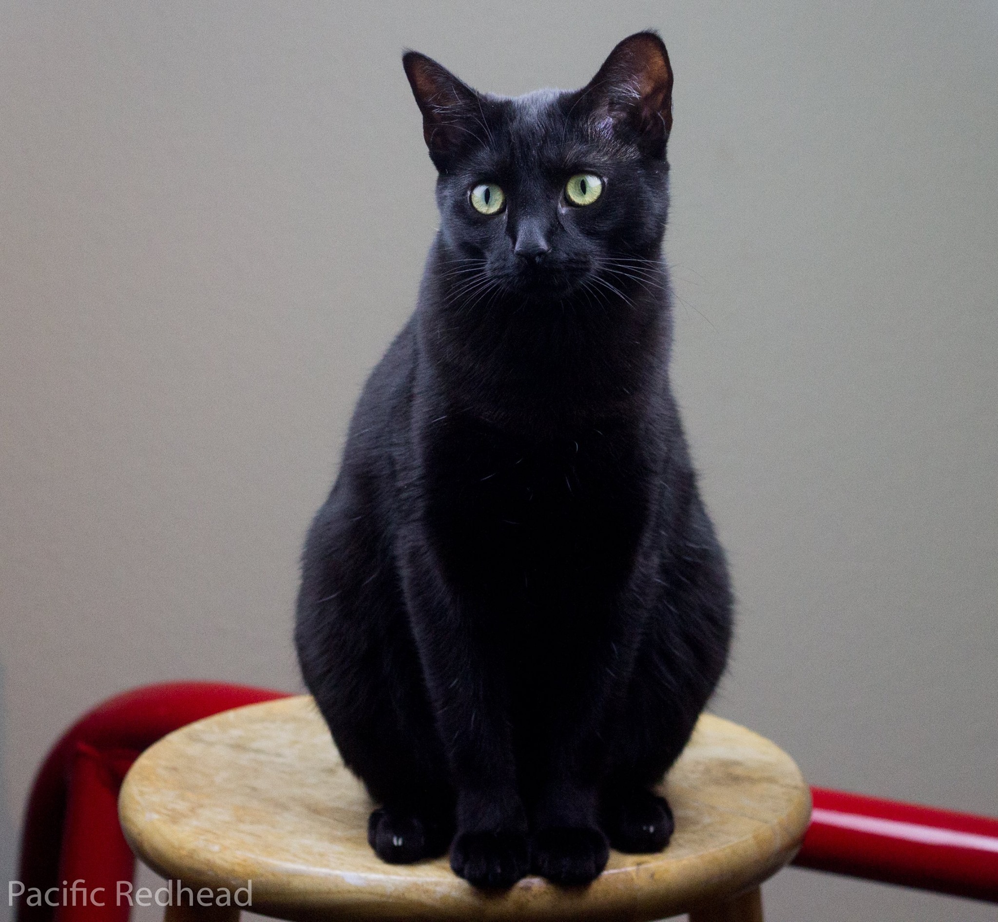 17879821_10158586307540002_8693867576349413126_o (1).jpg