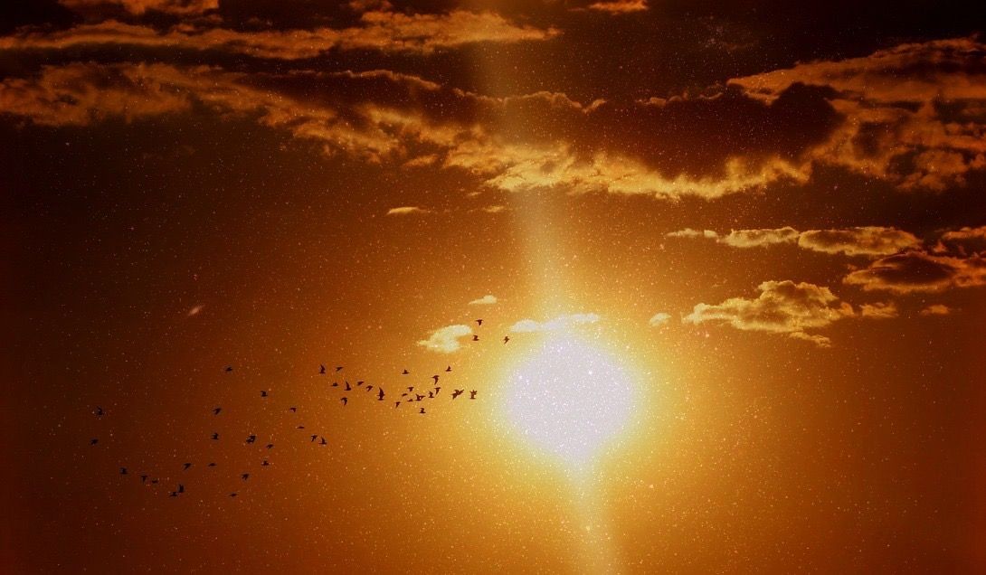 sunset-birds-black-space-blend-lunapic.jpg