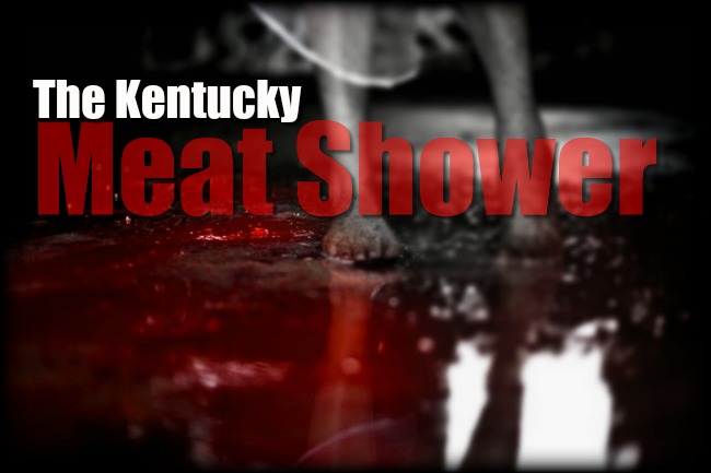 The+kentucky+meat+shower+the+kentucky+meat+shower+was+an_2b882f_6020290(1).jpg