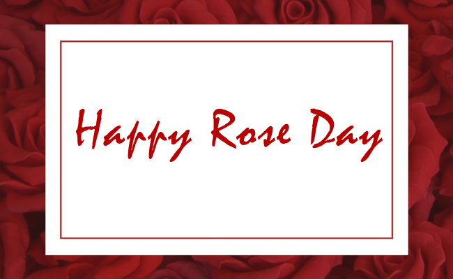 happy-rose-day_650x400_71517990270.jpg