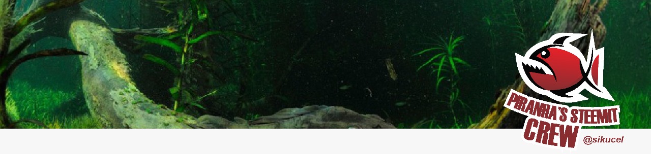 IMG-20180122-WA0007.jpg