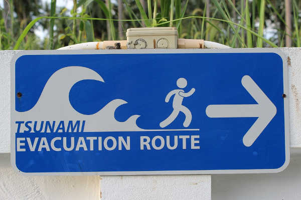 tsunami shield.jpg