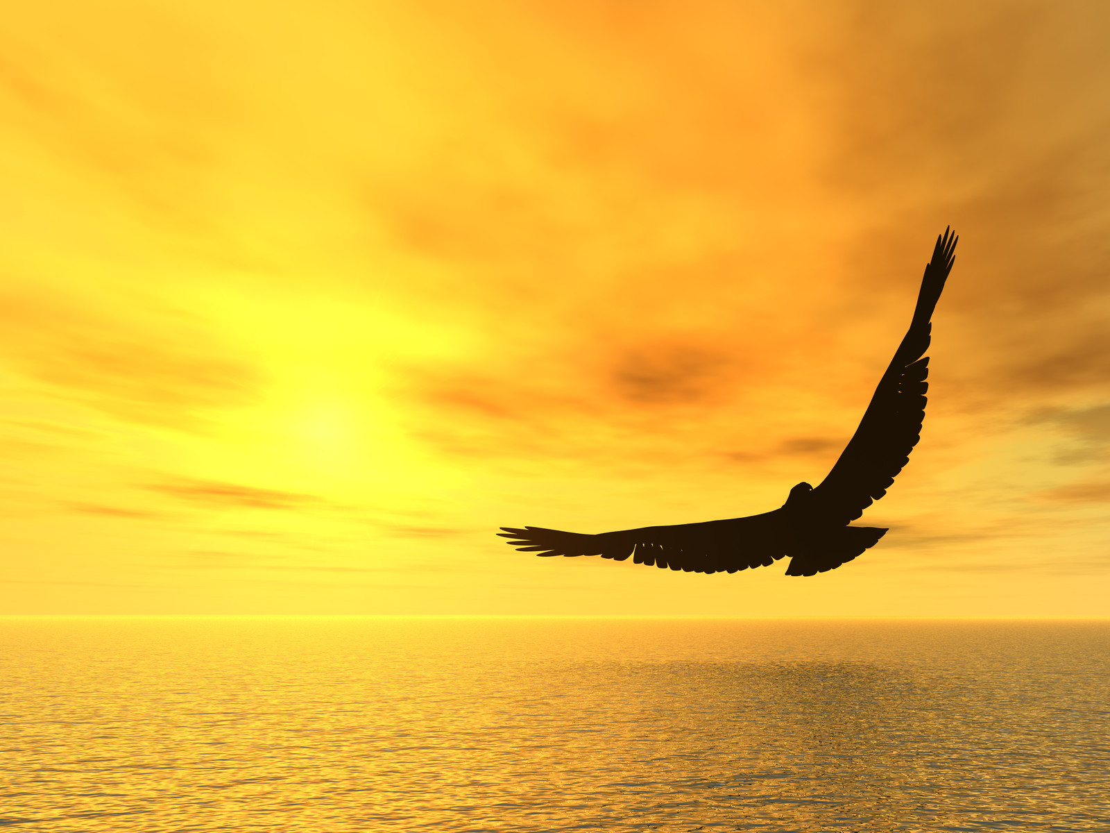 soaring-eagle-golden-sky.jpg