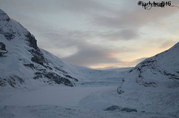 columbia icefield.jpg