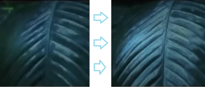 bitki.png
