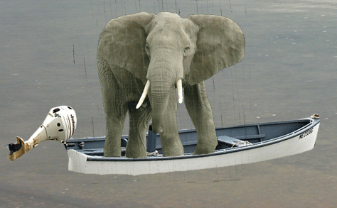 Elephant_498e95_523612 (1).gif