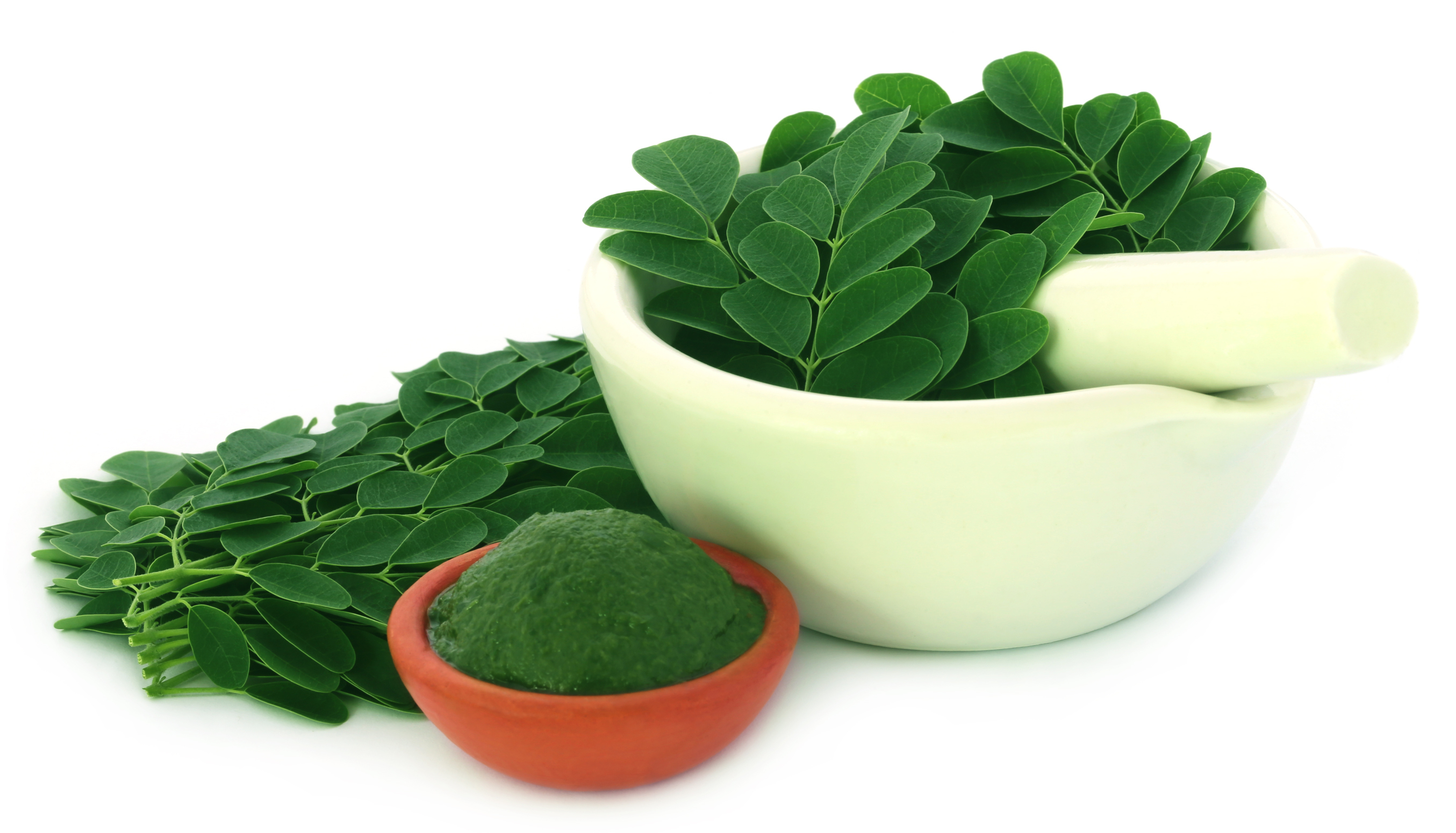 Moringa page.jpg