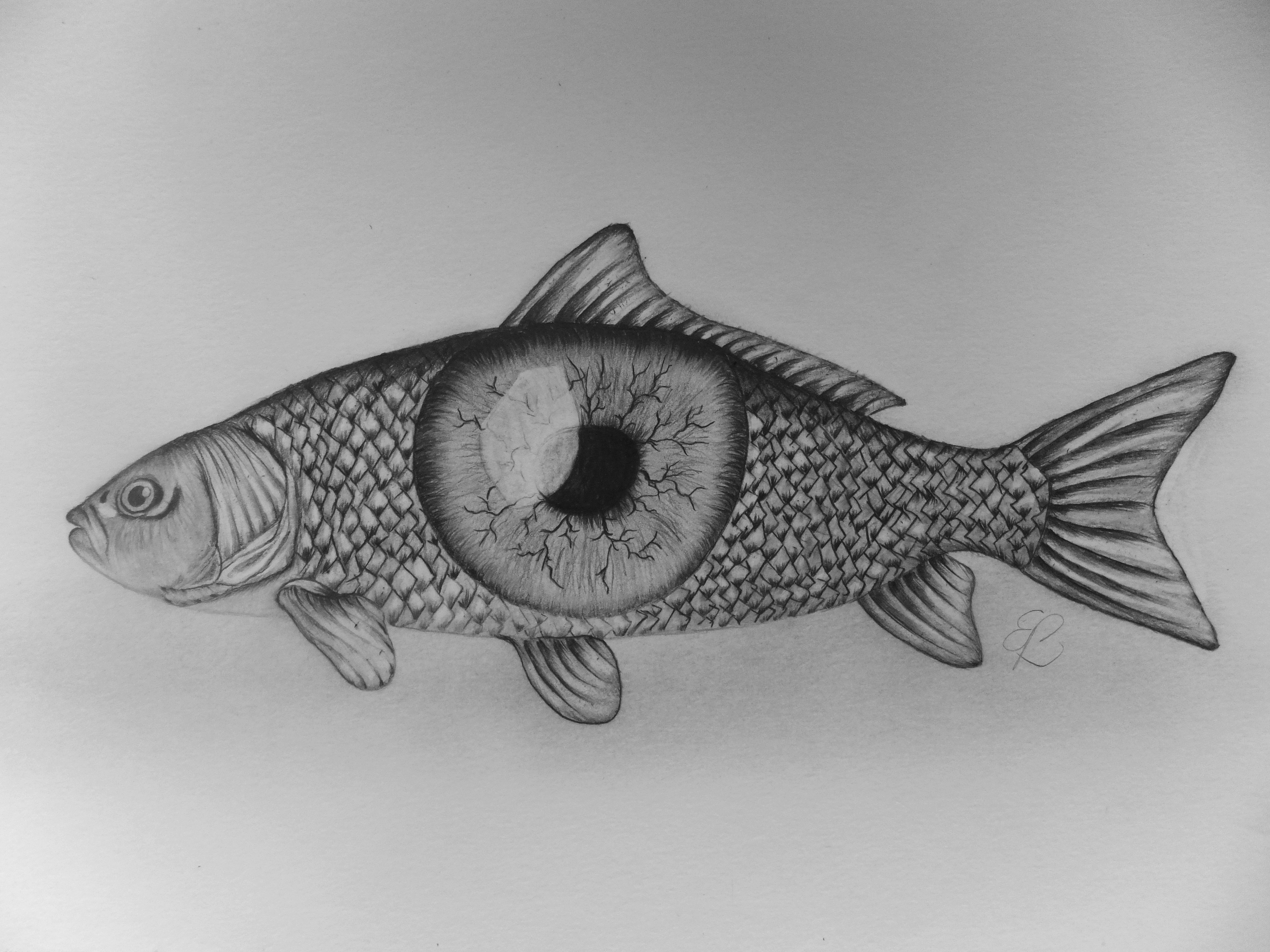 Рыбы арт карандашом
