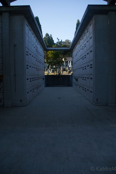 20171008-OaklandPiedmontCemetary10-8-60.jpg