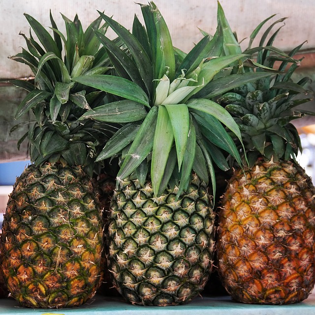 pineapple-1064931_640.jpg