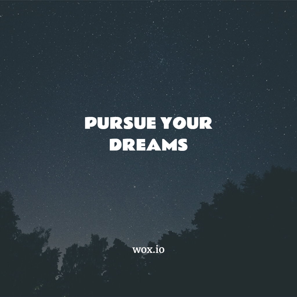 Pursue your dreams.png