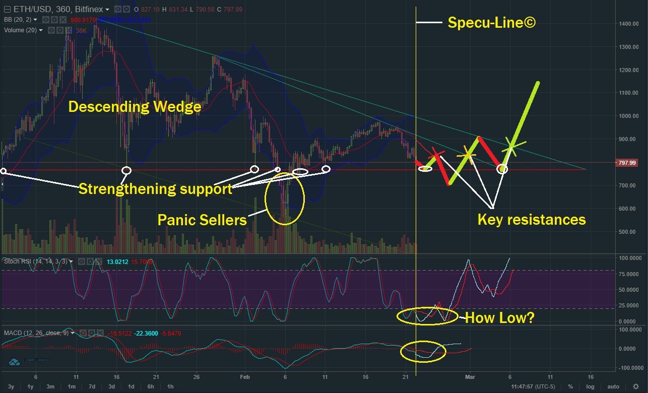 Feb 22 ETH T&A.jpg