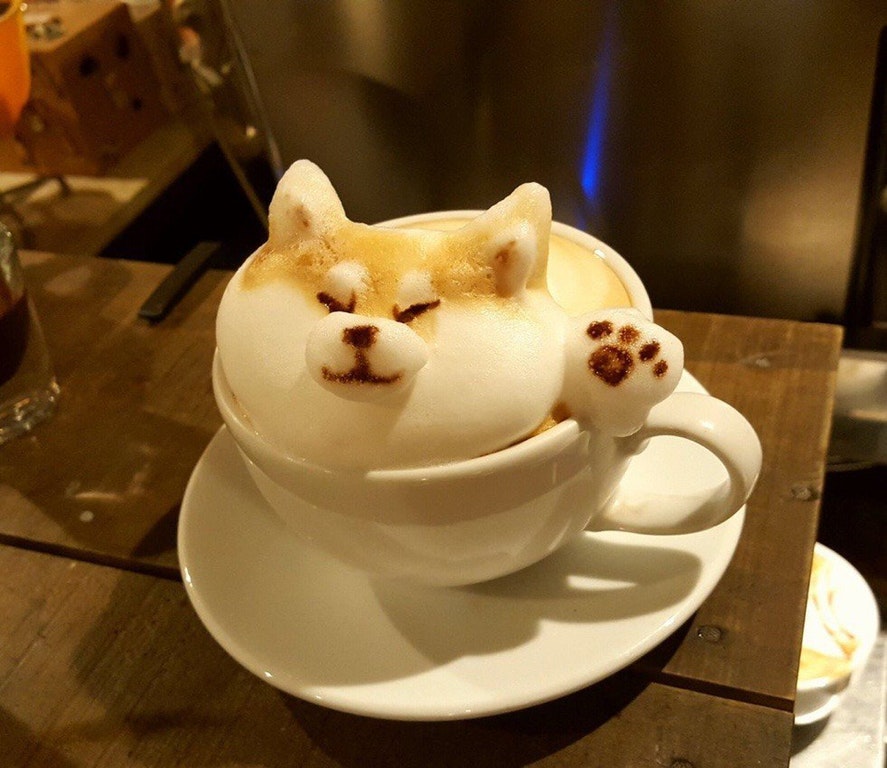 Doge Cafe | @koffee — Steemit