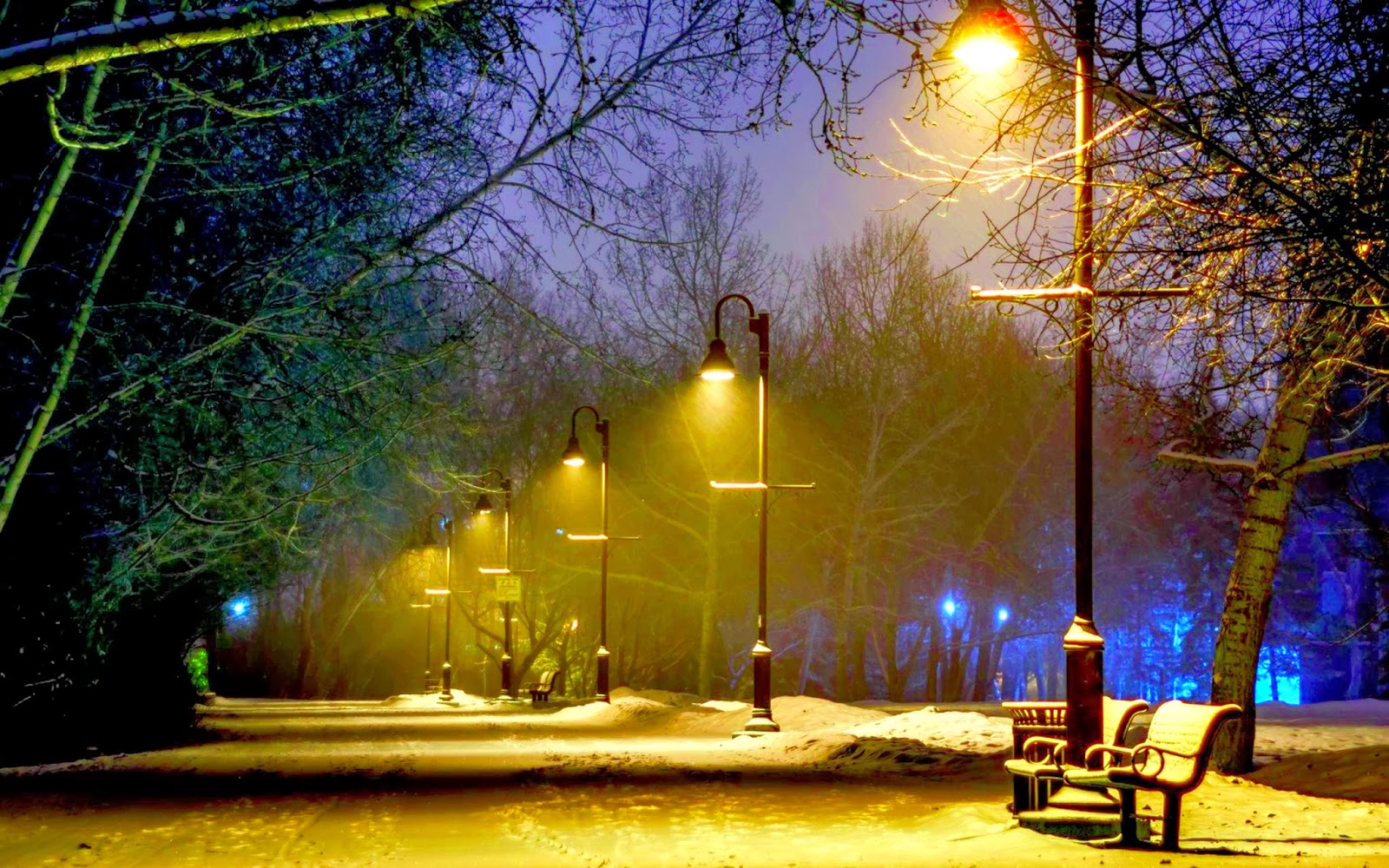 Winter+night.HD+Wallpapers+and+pics.street+lights+at+night.jpg