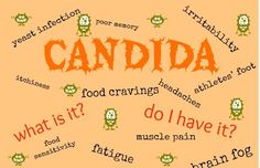 66f26928d22ba2e05e943355b358f111--candida-overgrowth-candida-albicans.jpg