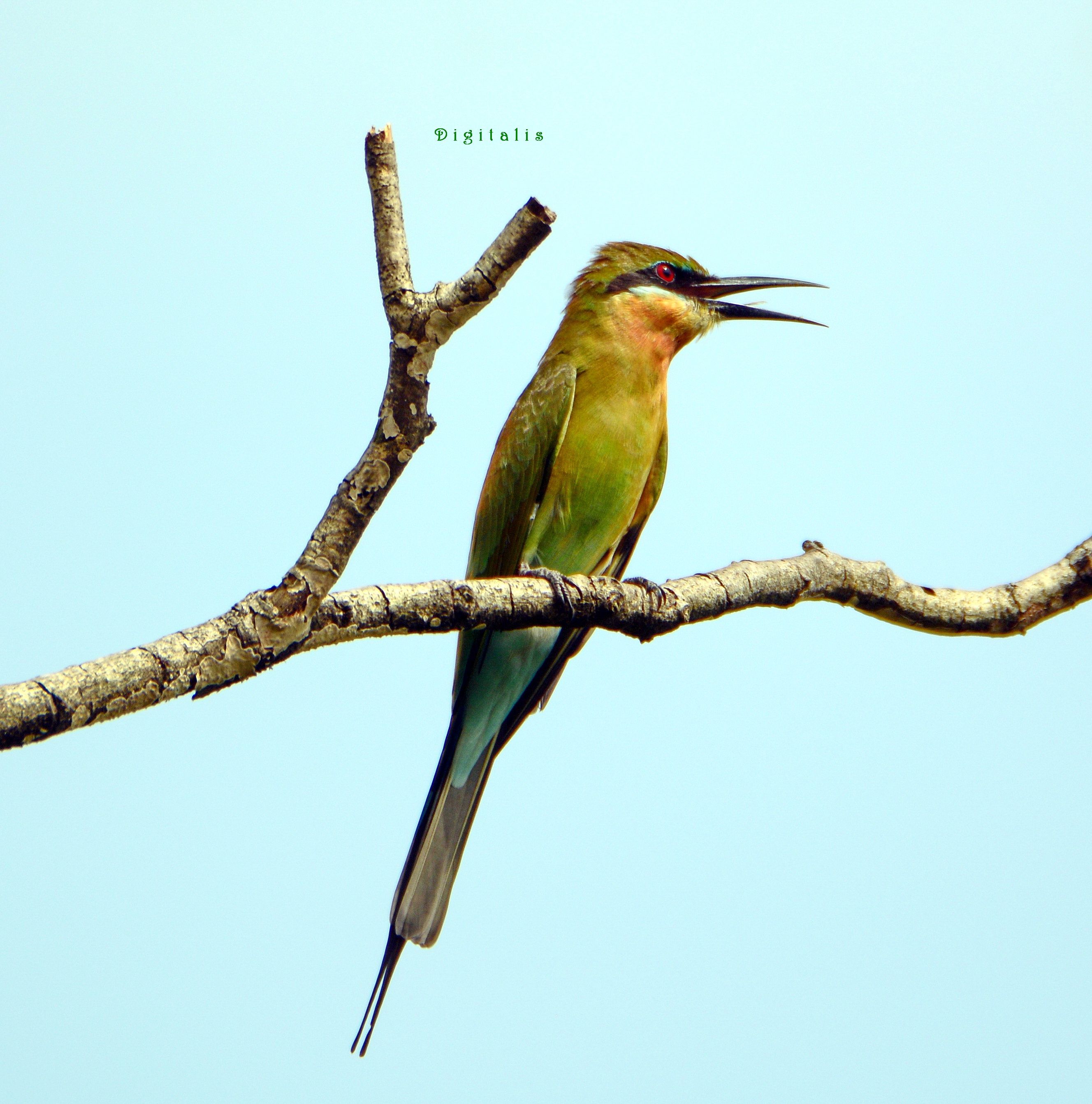 DSC_7124.JPG