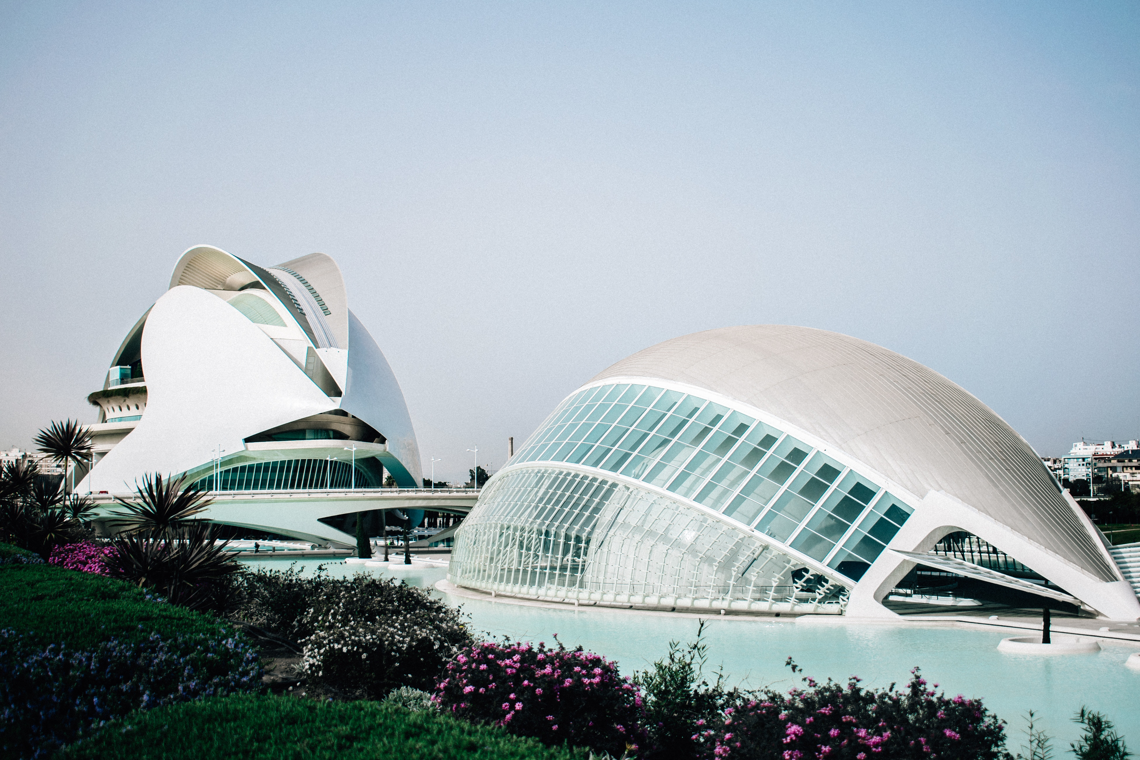 La Ciudad de las Artes y las Ciencias