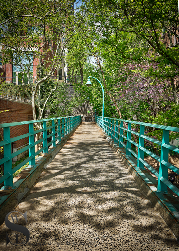 Wednesday walk Peter Detmold Park (5 of 5).jpg