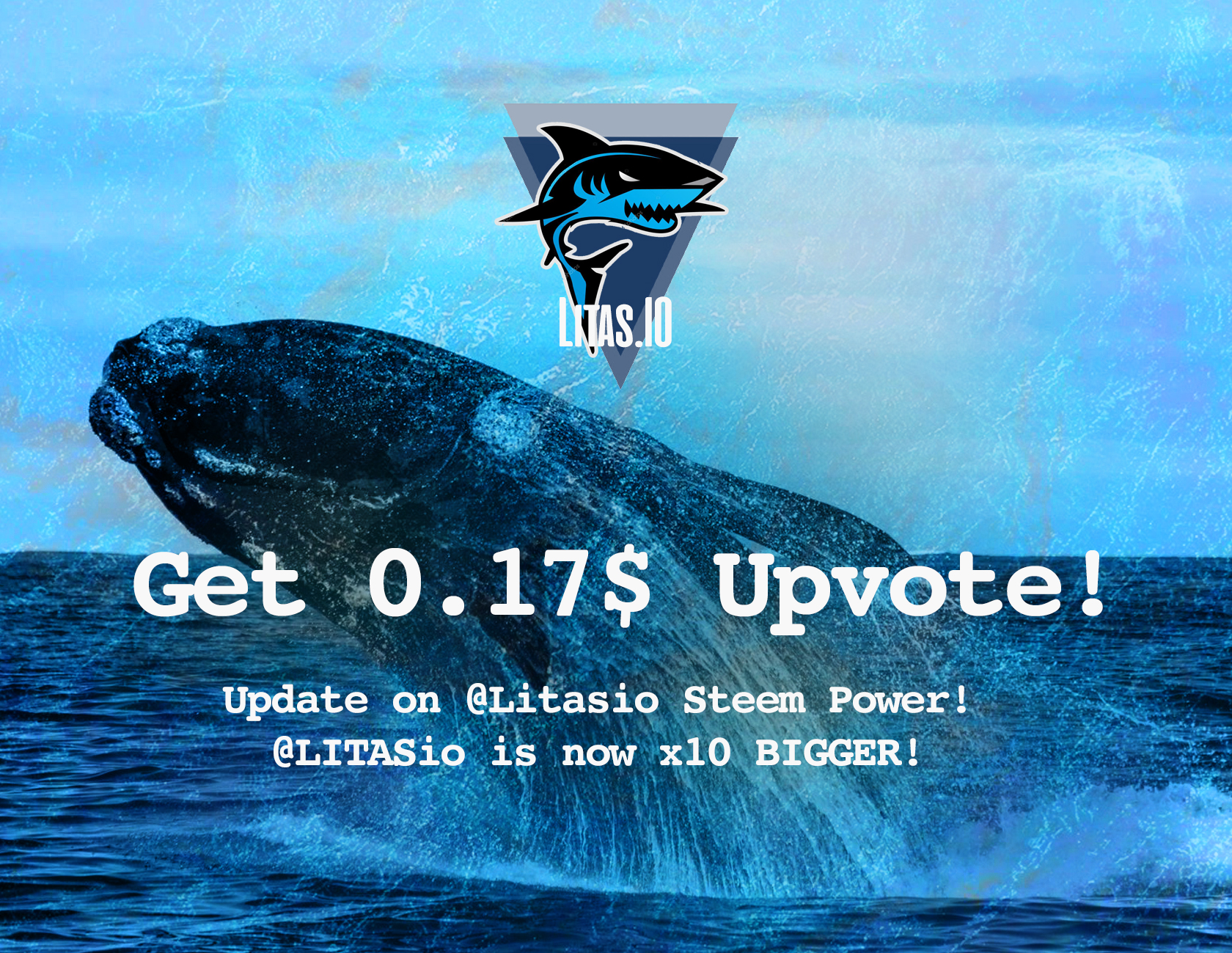 litasio-whale.jpg