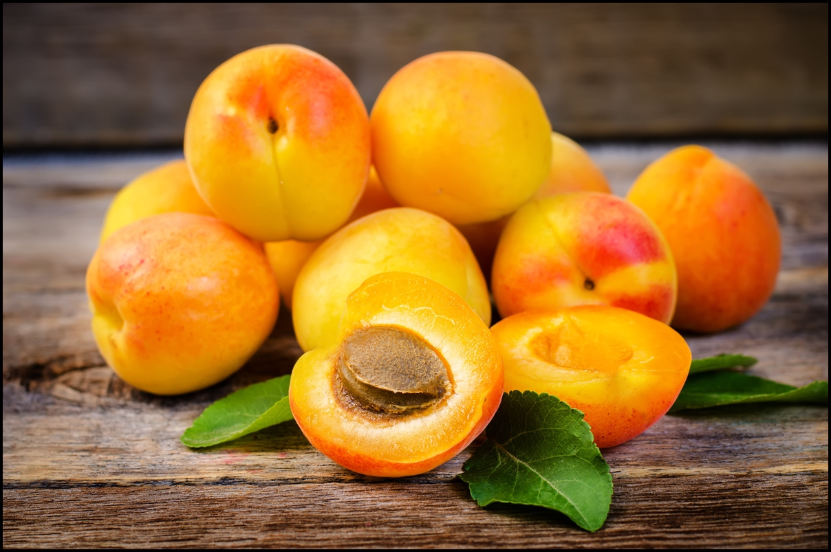 Fun-Facts-of-Apricots.jpg