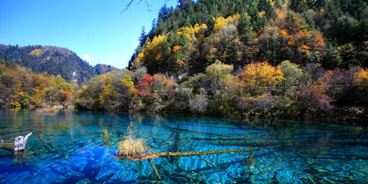 jiuzhaigou-04.jpg